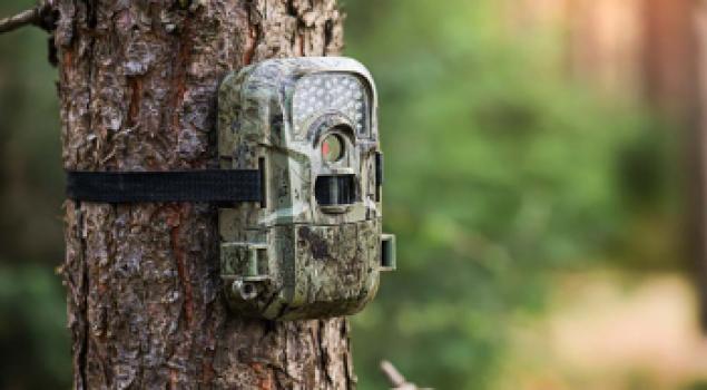 Wildcamera als beveiligingscamera