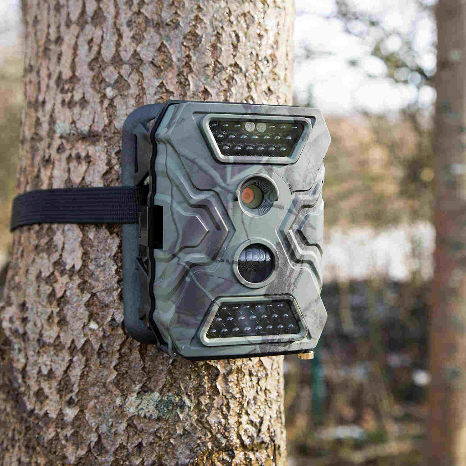De beste wildcamera's van 2023 voor het vastleggen van de natuur