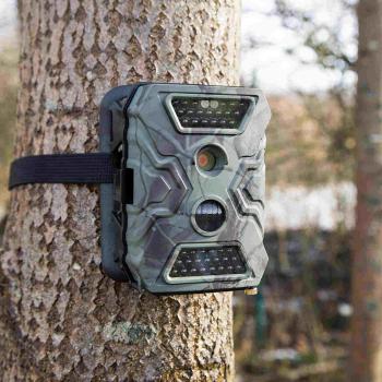 De beste wildcamera's van 2023 voor het vastleggen van de natuur