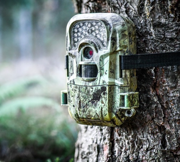 Wat kost een wildcamera? Wat kost een wildcamera?