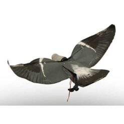 sillosocks motorizes pigeon